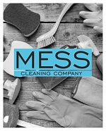 Mess Cleaning Company